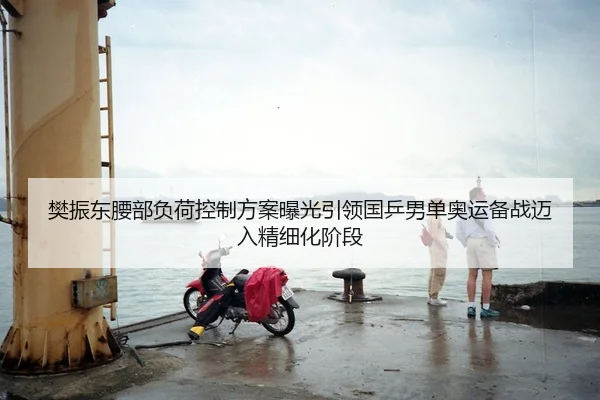 樊振东腰部负荷控制方案曝光引领国乒男单奥运备战迈入精细化阶段