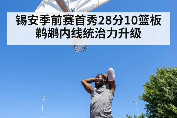 锡安季前赛首秀28分10篮板 鹈鹕内线统治力升级